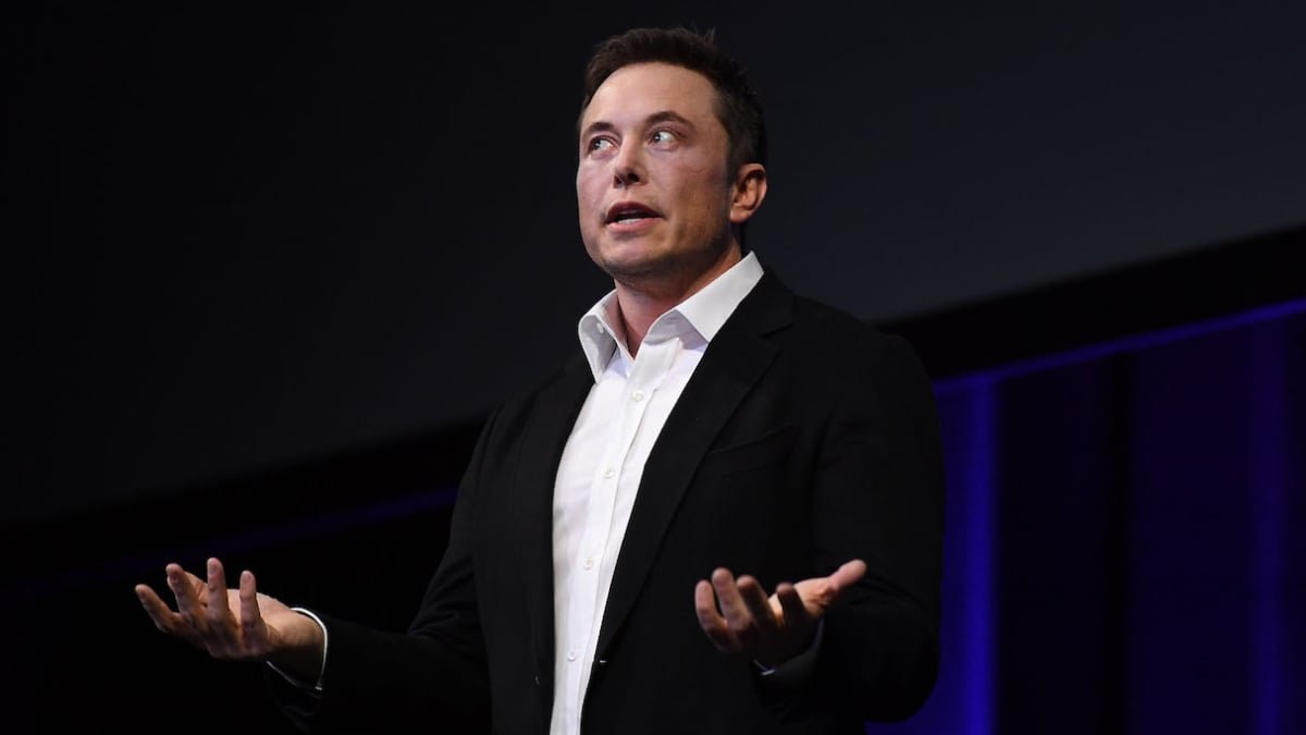 Elon Musk apporte du bien-être en collaborant avec l’artiste licorne.